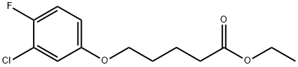Ethyl 5-(3-chloro-4-fluoro-phenoxy)pentanoate Structure