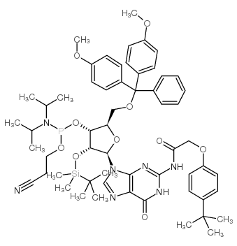 5’-O-(4,4-二甲氧基三苯甲基)-2’-O-[(叔丁基)二甲基硅基]-N-[[4-(叔丁基)苯氧基]乙酰基]鸟苷-3’-(2-氰基乙基-N,N-二异丙基)亚磷酰胺结构式