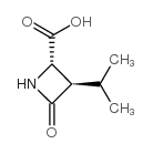 2-Azetidinecarboxylicacid,3-(1-methylethyl)-4-oxo-,trans-(9CI) Structure