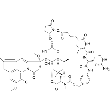 SC-VC-PAB-DM1 Structure