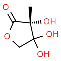 2(3H)-Furanone, dihydro-3,4,4-trihydroxy-3-methyl-, (3R)- (9CI)结构式