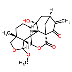 6-epi-Augustifolin结构式