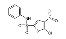 5-chloro-4-nitro-N-phenylthiophene-2-sulfonamide结构式