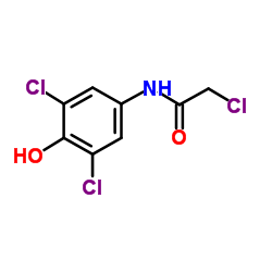 2',3,5-TRICHLORO-4-HYDROXYACETANILIDE Structure