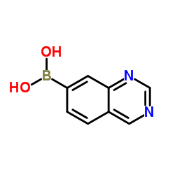 Quinazolin-7-ylboronic acid Structure