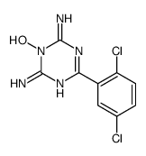 4-(2,5-dichlorophenyl)-1-hydroxy-6-imino-1,3,5-triazin-2-amine Structure