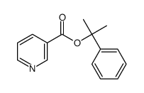 2-phenylpropan-2-yl pyridine-3-carboxylate结构式