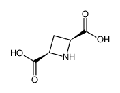 cis-azetidine-2,4-dicarboxylic acid Structure