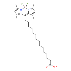 BODIPY-Palmitate结构式
