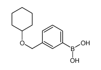 (3-((CYCLOHEXYLOXY)METHYL)PHENYL)BORONIC ACID Structure