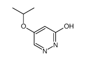 4-propan-2-yloxy-1H-pyridazin-6-one Structure