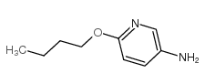 5-氨基-2-丁氧基吡啶图片
