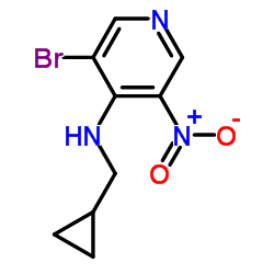 (3-Bromo-5-nitro-pyridin-4-yl)-cyclopropylmethyl-amine结构式