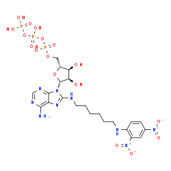 8-(2,4-dinitrophenyl-2,6-aminohexyl)aminoadenosine 5'-triphosphate structure