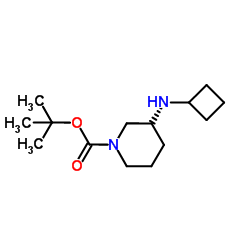 1-BOC-3-CYCLOBUTYLAMINO-PIPERIDINE Structure