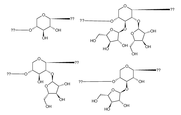 Arabinoxylan Structure