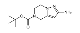 tert-butyl 2-amino-6,7-dihydropyrazolo[1,5-a]pyrazine-5(4H)-carboxylate picture