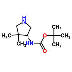 Carbamic acid, [(3R)-4,4-dimethyl-3-pyrrolidinyl]-, 1,1-dimethylethyl ester (9CI) structure