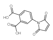 4-(2,5-二氧代-2,5-二氢吡咯-1-基)邻苯二甲酸图片