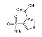 4-sulfamoylthiophene-3-carboxylic acid结构式