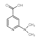 2-DIMETHYLAMINO-ISONICOTINIC ACID structure