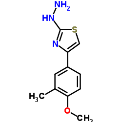 [4-(4-METHOXY-3-METHYL-PHENYL)-THIAZOL-2-YL]-HYDRAZINE structure