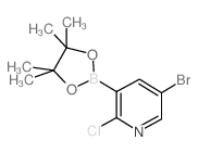 5-bromo-2-chloropyridine-3-boronic acid, pinacol ester Structure