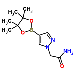 1-乙酰氨基-4-硼酸频那醇酯图片