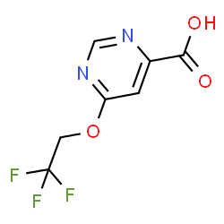 6-(2,2,2-Trifluoroethoxy)pyrimidine-4-carboxylic acid picture