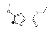 1H-Pyrazole-3-carboxylicacid,5-methoxy-,ethylester(9CI) picture