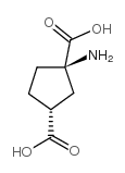 (+/-)-1-aminocyclopentane-cis-1,3-dicarboxylic acid structure