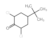 4-tert-butyl-2,6-dichlorocyclohexan-1-one Structure