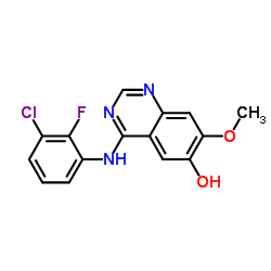 4-(3-Chloro-2-fluoroanilino)-6-hydroxy-7- methoxyquinazoline picture