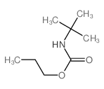 propyl N-tert-butylcarbamate structure