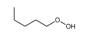 Hydroperoxide, pentyl结构式