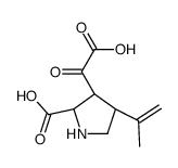 75232-58-5 structure