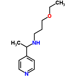 (3-ETHOXY-PROPYL)-(1-PYRIDIN-4-YL-ETHYL)-AMINE picture