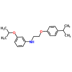 1040684-02-3 structure