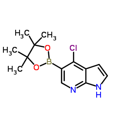 4-Chloro-1H-pyrrolo[2,3-b]pyridine-5-boronic acid pinacol ester Structure