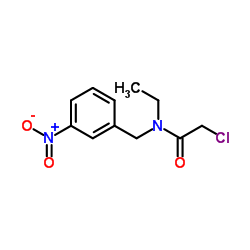 2-Chloro-N-ethyl-N-(3-nitrobenzyl)acetamide Structure