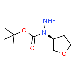 (S)-tert-butyl 1-(tetrahydrofuran-3-yl)hydrazinecarboxylate结构式