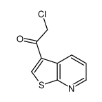 53175-01-2 structure