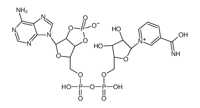 2',3'-cyclic NADP结构式