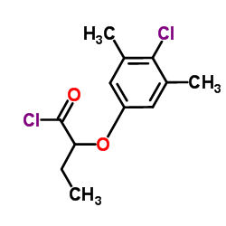 2-(4-Chloro-3,5-dimethylphenoxy)butanoyl chloride structure