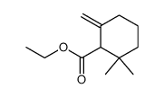 2,2-dimethyl-6-methylene-cyclohexanecarboxylic acid ethyl ester结构式