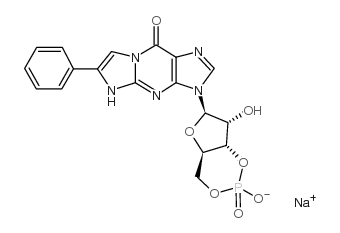 BETA-PHENYL-1,N2-ETHENOGUANOSINE-3',5'-CYCLIC MONOPHOSPHATE SODIUM SALT structure