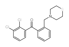 2,3-DICHLORO-2'-THIOMORPHOLINOMETHYL BENZOPHENONE picture