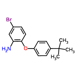 5-BROMO-2-[4-(TERT-BUTYL)PHENOXY]ANILINE structure