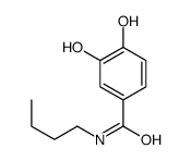 N-Butyl-3,4-dihydroxybenzamide Structure