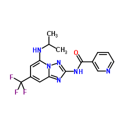 S-99 Structure